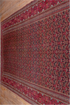 Antique Khorassan Area Rug (7' x 20')